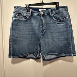 Judy Blue - Blue Jean Shorts with Distressed Look - Worn Once
